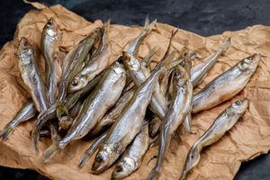 Як правильно зберігати в’ялену рибку: корисні поради та рекомендації фото